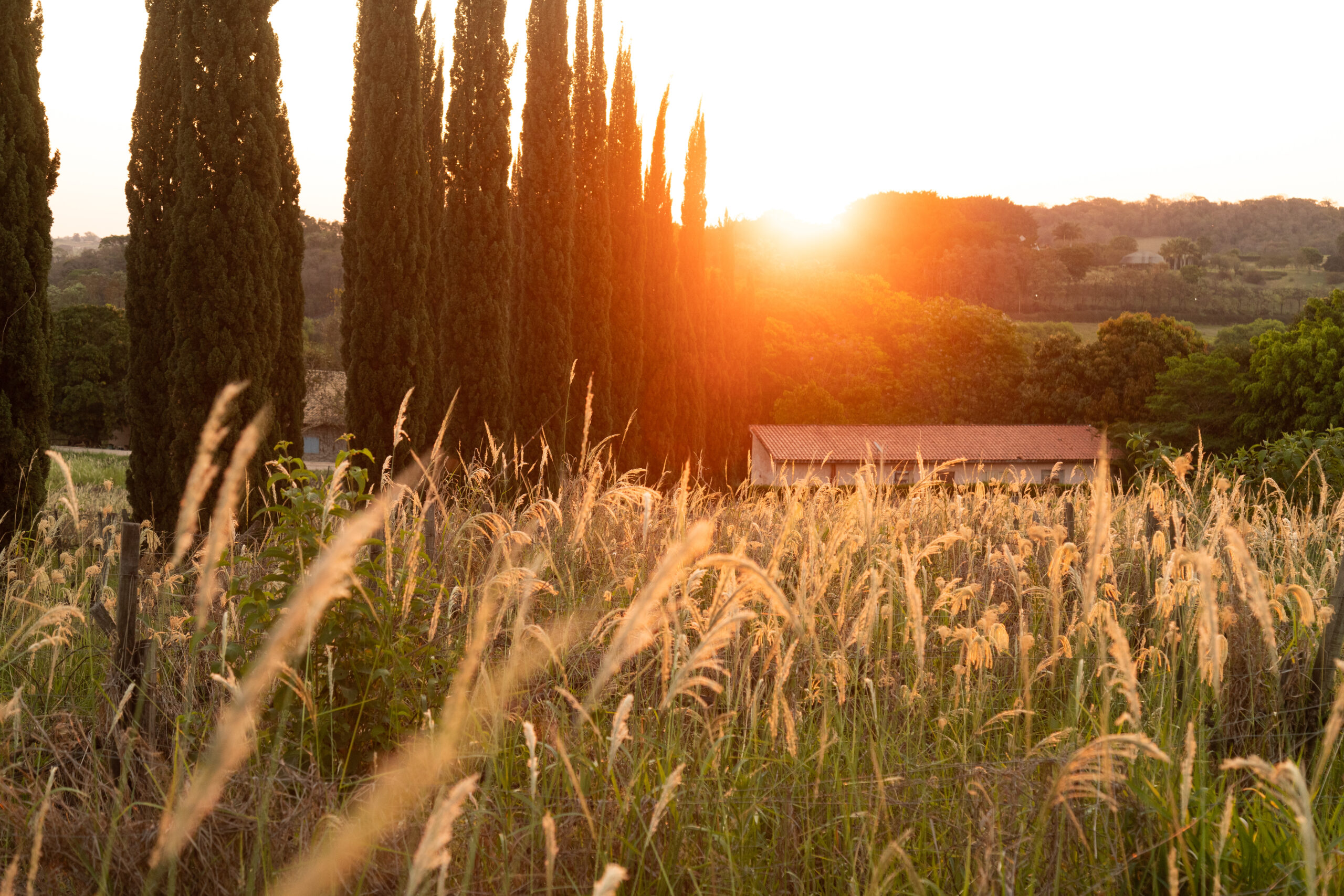 Aluguel casa de luxoIndaiatuba, Villa 03