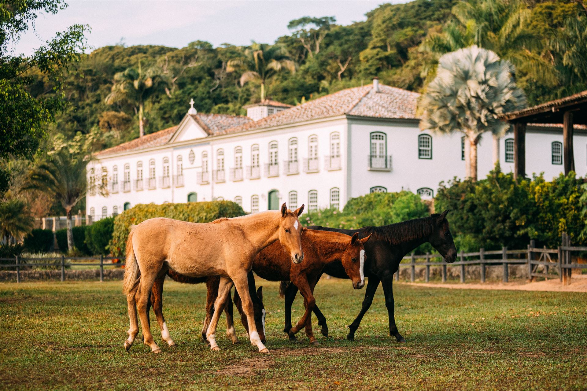 Aluguel casa de luxoSerra Fluminense, Villa 10