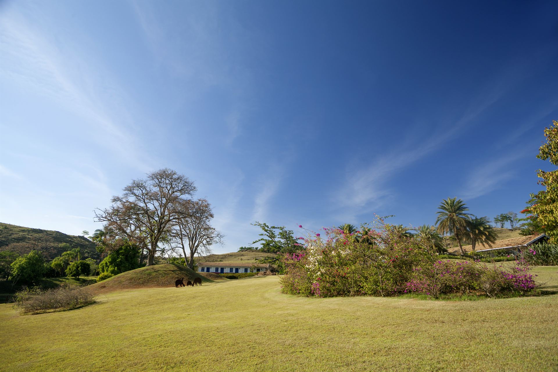 Aluguel casa de luxoSousas, Villa 23